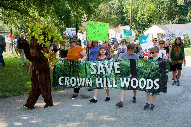 Bleak future for Crown Hill Woods